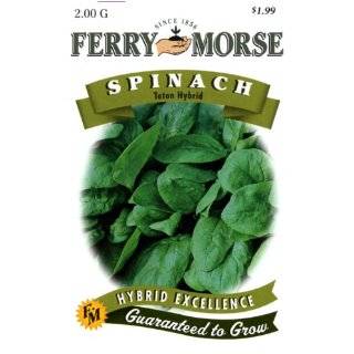 Ferry Morse 1492 Spinach Seeds, Teton Hybrid, Smooth Leaf (2 Gram 