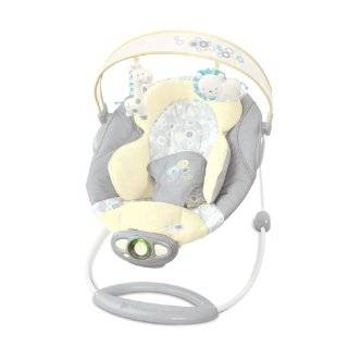 Bright Starts InGenuity Automatic Bouncer, Briarcliff