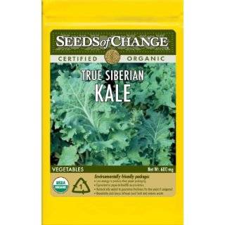 Seeds of Change S10643 Certified Organic True Siberian Kale