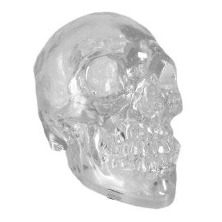  Clear Quartz Crystal Skull 