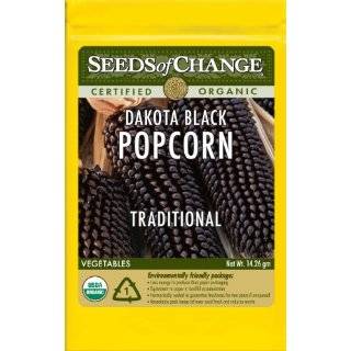  Ruby Red Popcorn 40 Seeds   Great for Popping   Veggie 