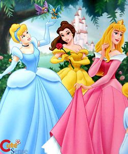 Disney Princess Fleece Throw Blanket 50x60 Cinderella Aurora Belle Blanket