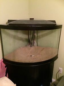 54 Gallon Aquarium Corner Fish Tank