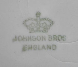 Vtg Johnson Brothers Floral Pattern Large Platter