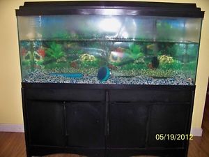 55 Gallon Fresh Water Tank Stand Supplies Local Pick Up St Louis Metro