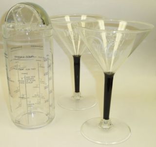 New 20 oz Cocktail Shaker w Measurement and Two Martini Glass M2000 Argent Vodka
