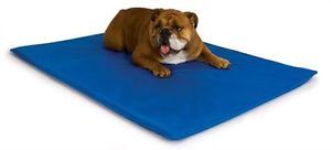 KH Mfg Indoor Outdoor Cool Bed III Cooling Dog Pet Bed Pad Mat Medium Blue 1780