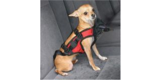 New Extra Small Car Seat Belt Dog Pet SUV Harness Leash