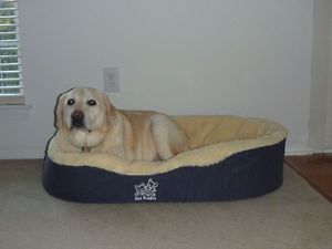 Extra Large Dog Pet Bed Beds