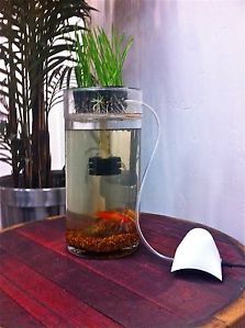 Home Aquaponics System 1gal Desktop Betta Fish Tank Grows Fish and Plants