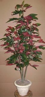 Artificial 5' Red Mango Tree Silk Plant in Urn Decor