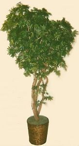 Artificial 7' Japanese Maple Tree Plant Bush in Basket Topiary Patio Home Palm