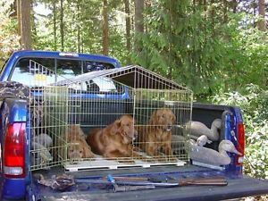 Huge Metal Dog Crate Carrier for Truck Holds Three Large Dogs at Least