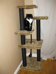 Plans to Build Your Very Own Cat Tree Scratching Post More not Actual Item
