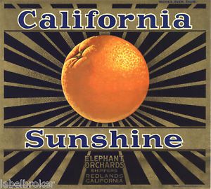Orange Crate Label Vintage California Sunshine Art Deco Sun Rays Gold Bronzed