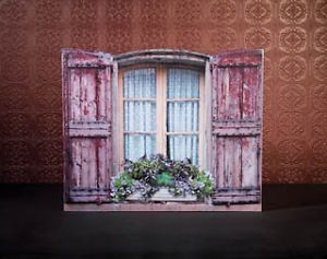 French Country Shabby Cottage Chic Window Box Shutters Wall Canvas Picture