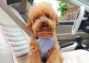 Dog Pet Car Safety Belt for Small Dog Pet Car Seat Belt
