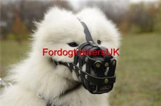 New Leather Muzzle for Samoyed Bestseller High Quality Light Weight Dog Muzzle