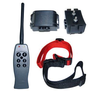 Remote Training Electronic 2 Dog Collars Rechargeable M