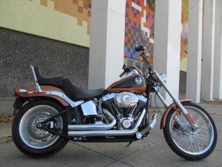 2008 Harley FXSTC Softail 105th Anniversary Edition Used Chopper Soft Tail