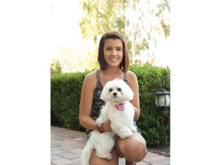 Pink Pet Safe Small Little Dog Anti No Bark Control Stop Barking Shock Collar