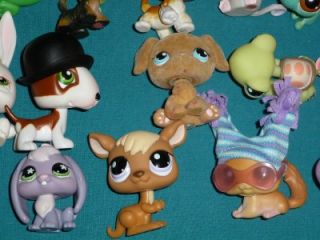 Littlest Pet Shop LPS Lot 100 3 103 Pets Frog Horse Fish Bunny Dog Many Pics