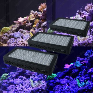 3pc 16" Coral Reef Dimmable LED Fish Tank Grow Light Saltwater Aquarium Supplies