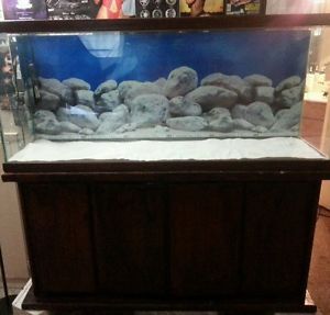 55 Gallon Fish Tank Clean w White Sand Wood Stand