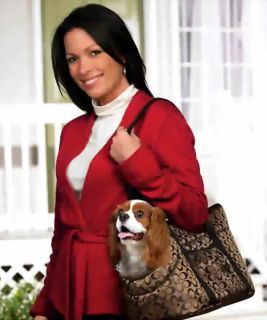 Small Pet Puppy Toy Dog Handbag Design Pet Carrier