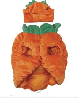 Zack Zoey Pumpkin Pooch Dog Halloween Costume XS L