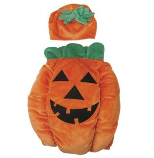 Zack Zoey Pumpkin Pooch Dog Halloween Costume XS L