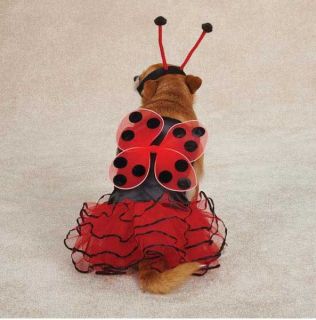 Casual Canine Lucky Lady Bug Dog Halloween Costume XS XL Ladybug