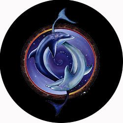 Ying Yang Dolphin Custom Spare Tire Cover Wheel Cover