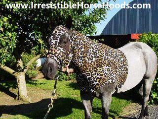 Large Perfect Leopard Horse Hood Costume Sleazy Slinky Hoodie L