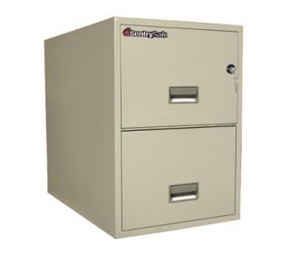 Sentry Safe Two Drawer Fire and Water Resistant Vertical Letter File, 17" W x 31" D, White Glove Delivery