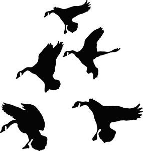 Ducks in Flight Waterfowl Hunting Decals Pro Grade Vinyl Easy to Apply 5 Decals