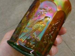 Neon Green Northwood Singing Birds Carnival Glass Tumbler Gorgeous 2