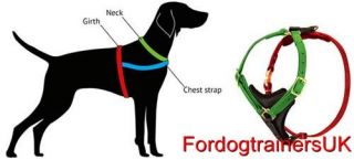 Husky Dog Leather Harness Handmade Dog Harness for Siberian Husky Dog Walking