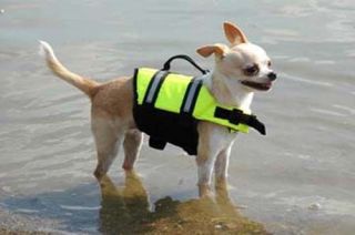 Paws Aboard Dog Safety Life Jacket Vest Neon Yellow L