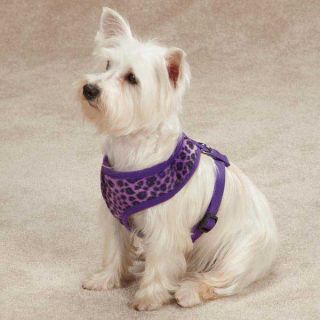 Vibrant Purple Leopard Dog Harness East Side Collection