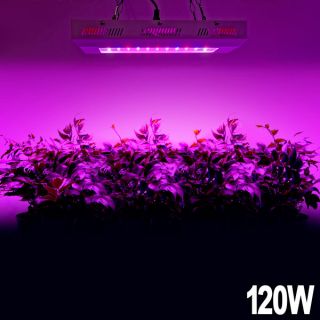 120W Garden LED Grow Lighting Indoor Plant Light 7BAND Full Spectrum Plant Yield
