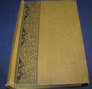 Wit and Humor of The Age 1883 Hardcover Book Mark Twain Josh Billings Sweet