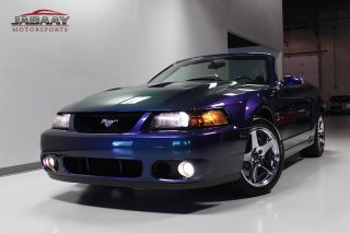 2004 Ford Mustang Cobra Convertible Mystichrome Only 8 486 Miles 1 Owner RARE
