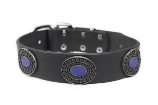 Blue Silverdao Leather Dog Collar with Antique Silver Conchos by D T Designer