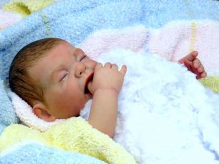 Reborn Fake Baby Boy Sleeping Painted Hair Daniel by Tiny Baby Bundles Nursery