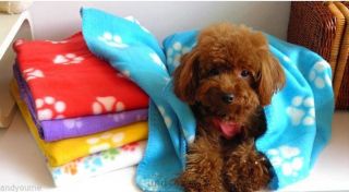New Pet Touch Soft Fleece Puppy Blanket Paw Print Pet Cat Dog Blanket Warm Mat