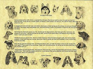 "Dogs" Pet Memorial Poem Print   A Loan from God, a Loving Tribute