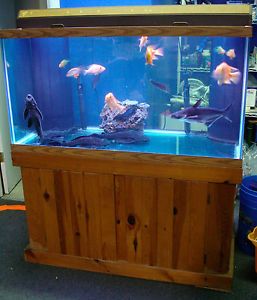 120 Gallon Aquarium Fish Tank Reef Ready with 2 Corner Over Flows Phila PA