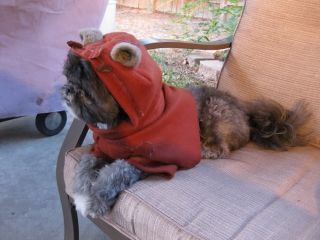 Handmade Star Wars Ewok Pet Dog Costume