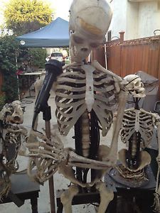 Haunted House Animatronics Props and Supplies